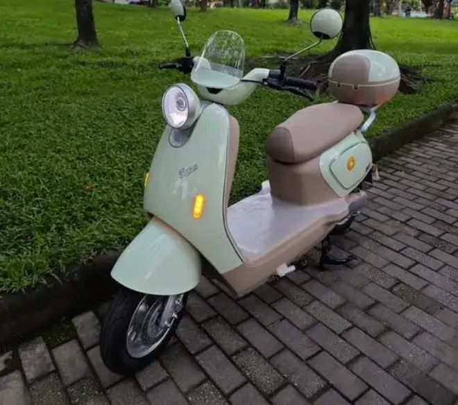 榜来了台铃位居第5名前3名都有哪些品牌？凯发k8娱乐登录2025电动车口碑排行(图6)